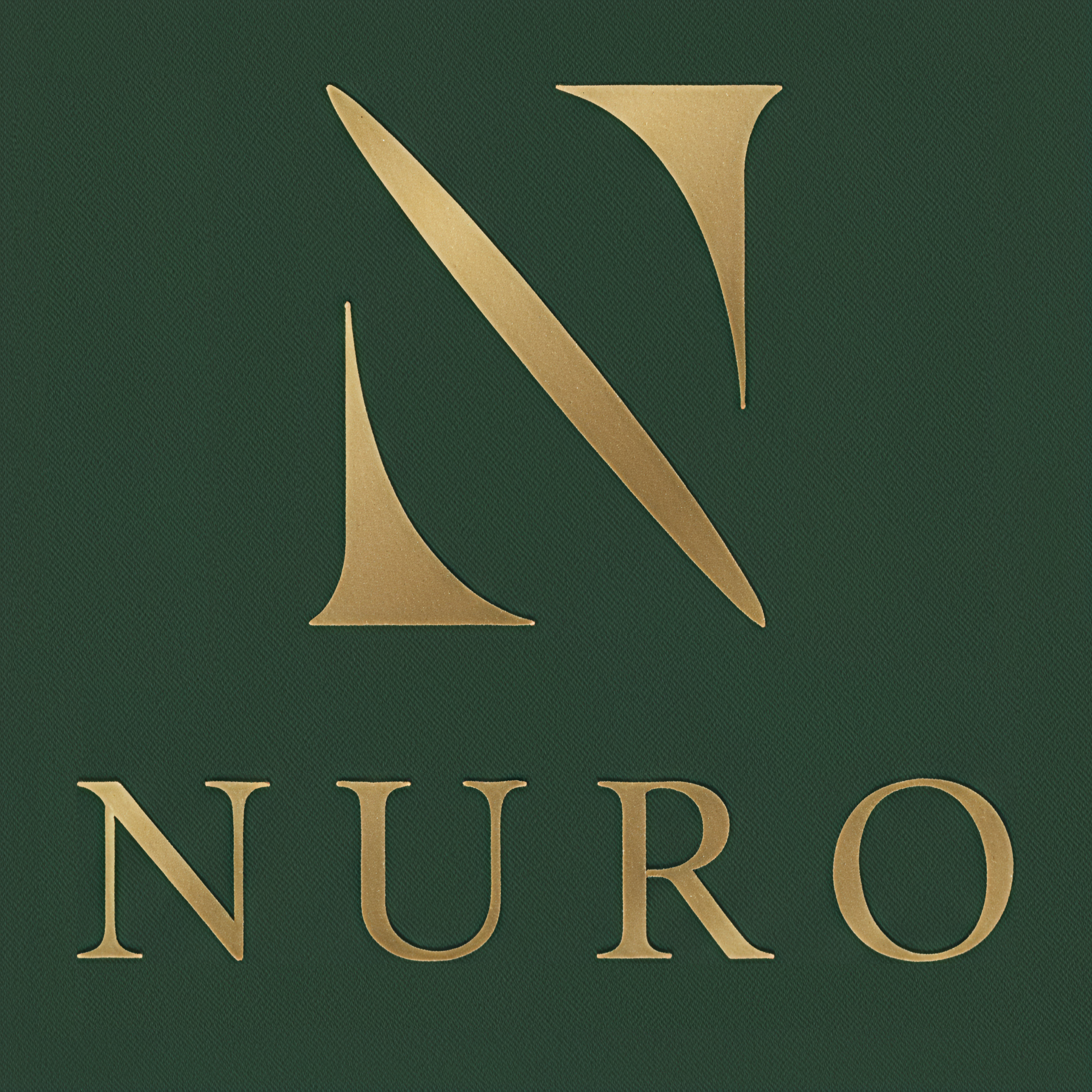 Nuro Logo